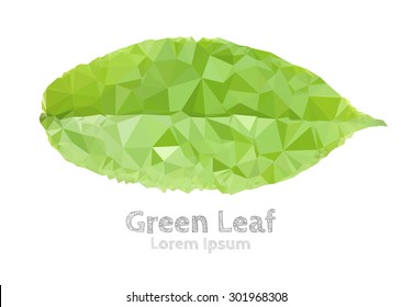 Green leaf polygonal geometric, Green peace, Symbol, Illustration design.