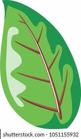 green leaf prepared for cut