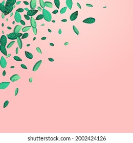 Green Leaf Realistic Vector Pink Background Banner. Herbal Greens Backdrop. Grassy Leaves Ecology Template. Foliage Nature Brochure.