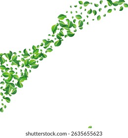 Green Leaf Realistic Vector White Background. Falling Greens Branch. Lime Leaves Transparent Border. Foliage Blur Banner.