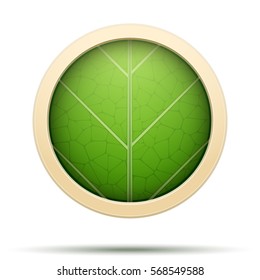 Green Leaf Round Icons Nature and bio label. Vector Illustration isolated on white background.