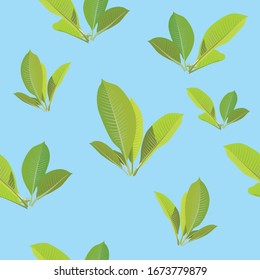 Green Leaf Seamless on illustration graphic vector