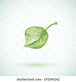 Green leaf. Seasonal background.