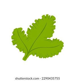 Green leaf seaweed isolated cartoon algae icon. Vector colorful gorgonian coral aquarium seaweed, soft sea fan aquatic plant, underwater flora