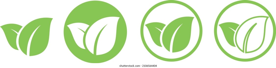 Green leaf seed nature. Vector