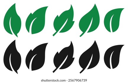 Green leaf set. Collection green leaf. Elements design for natural, eco, vegan, bio labels. isolated on transparent background.