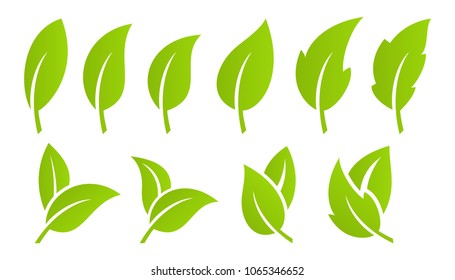 Green leaf set. Eco