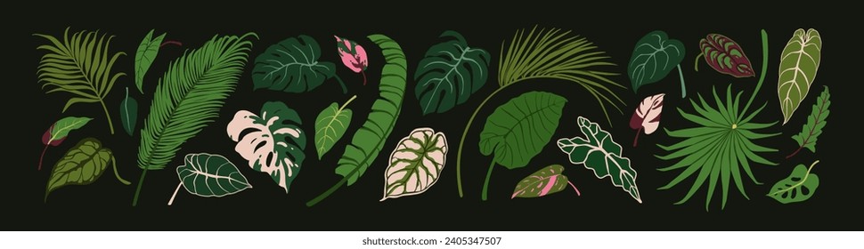 Green leaf set. Exotic tropical foliage plants, leaves, decorations. Botanical natural decor, greenery. Botanical design elements, alocasia, philodendron, monstera. Isolated flat vector illustrations