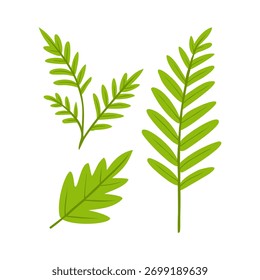 Grünes Blattset einzeln auf weißem Hintergrund, einfacher botanischer Illustrationsvektor.