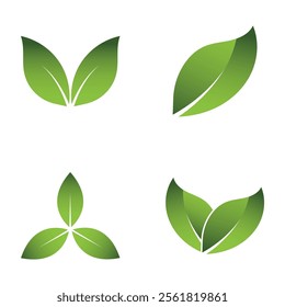Green Leaf Set Logo Grapich Images 