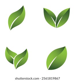 Green Leaf Set Logo Grapich Images 