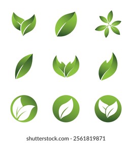 Green Leaf Set Logo Grapich Images 