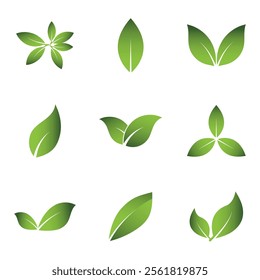 Green Leaf Set Logo Grapich Images 