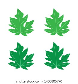 green leaf set on white background - template vector