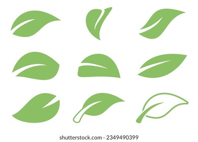 Green leaf set vector illustration. suitable for complementing posters, etc