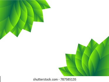 Green leaf shading overlapping color ,White background. Nature Concept