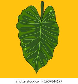 green leaf in shape of heart on yellow background, square vector illustration of the plant philodendron