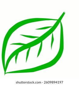 Green leaf. Leaf shape isolated on white background.