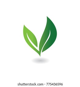 green leaf shape logo 