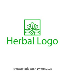 green leaf shape logo design line art. logo for herbal identity.