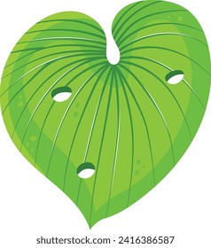 Green leaf shaped like a heart with water droplets, detailed leaf veins, nature love concept. Symbol of eco-friendly and environmental care vector illustration.