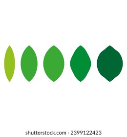 Formas de hoja verde. Ilustración vectorial. EPS 10.