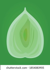 Green leaf sign. vector illustration