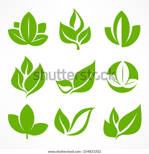 Green Leaf Signs Design Elements Vector Stock Vector (Royalty Free ...