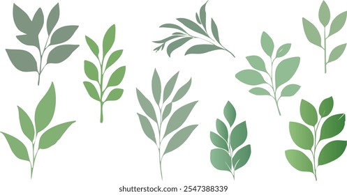 Conjunto de iconos de silueta de hoja verde – Elementos de diseño botánicos minimalistas