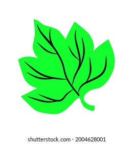 green leaf simple vector design