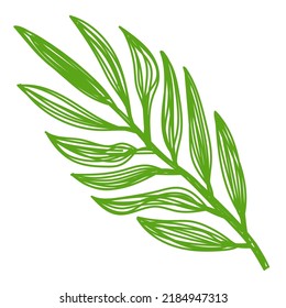 Esbozo de hoja verde. Ilustración vectorial dibujada a mano. Planta de doodle de pluma o marcador