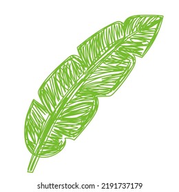 Green leaf sketch. Hand drawn vector illustration. Pen or marker doodle plant