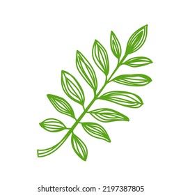 Esbozo de hoja verde. Ilustración vectorial dibujada a mano. Planta de doodle de pluma o marcador