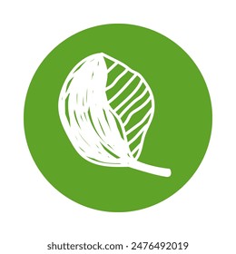 Green leaf sketch. Pencil drawing illustration. Pen or marker color symbol. Round icon