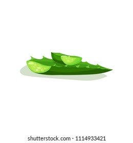 Green leaf and small piece of aloe vera. Medicinal plant. Flora theme. Flat vector element for skin and body care products packaging