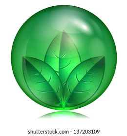 green leaf in a green sphere on a white background