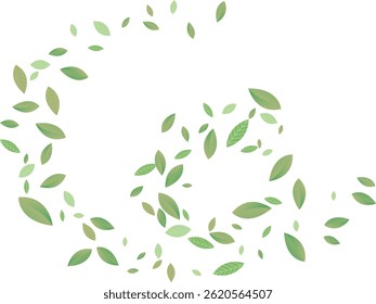 Green Leaf Spiral pin  Background White Vector. Sheet Eucalyptus Card. Life Design. Light Green Air Texture. Plant Flavor