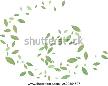 Green Leaf Spiral pin  Background White Vector. Sheet Eucalyptus Card. Life Design. Light Green Air Texture. Plant Flavor
