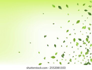Banner de fundo verde do vetor de mola de folha verde. Papel de Parede Verde Floresta. A Floresta Deixa O Conceito De Ecologia. Sucursal de queda de folhagem.