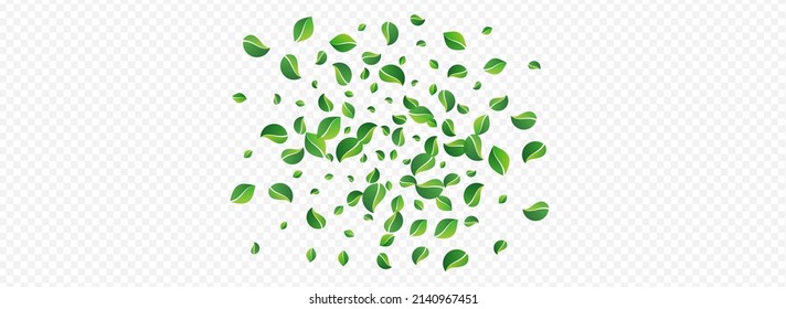 Green Leaf Spring Vector Panoramic Transparent Background. Fly Foliage Template. Forest Greens Blur Pattern. Leaves Transparent Illustration.