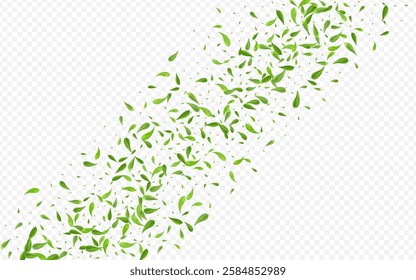 Green Leaf Spring Vector Transparent Background Wallpaper. Ecology Foliage Plant. Grassy Greens Abstract Concept. Leaves Blur Branch.