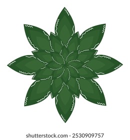 Green leaf star pattern resembling a succulent, Vector