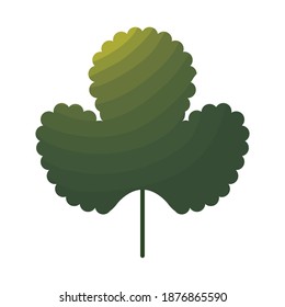 green leaf with stem on a white background vector illustration design