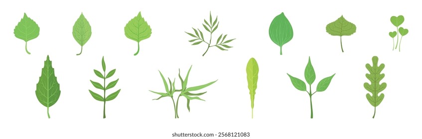 Green Leaf Stem and Stalk as Foliage Vector Set