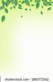 Green Leaf Swirl Vector Green Background Plant. Fly Greenery Template. Grassy Foliage Wind Branch. Leaves Fresh Illustration.