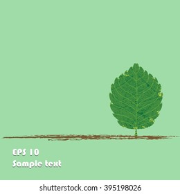 Green leaf symbol background, greeting card, can be add text, vector illustration