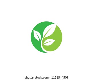 Green Leaf Symbol Illustration Stock Vector (Royalty Free) 1151544509 ...