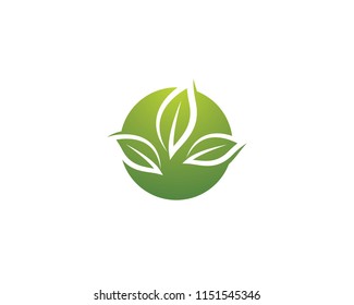 Green leaf symbol illustration