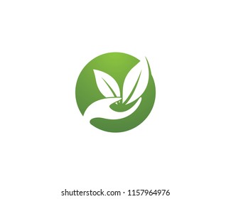 Green leaf symbol illustration