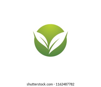Green leaf symbol illustration